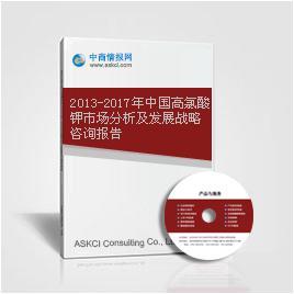 2013-2017年中国高氯酸钾市场分析及发展战略咨询报告